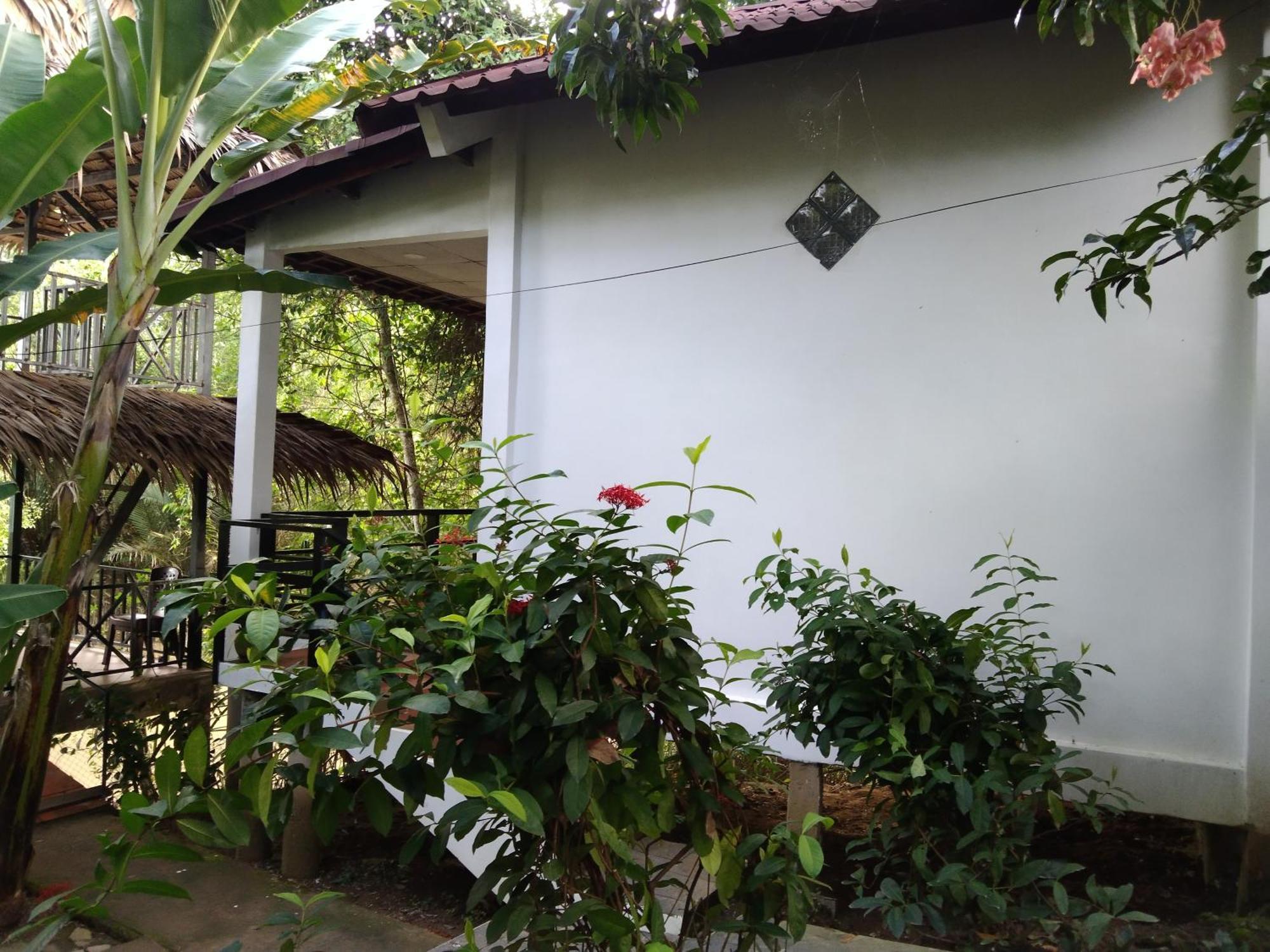 乡村河滨民宿 Ben Tre 外观 照片